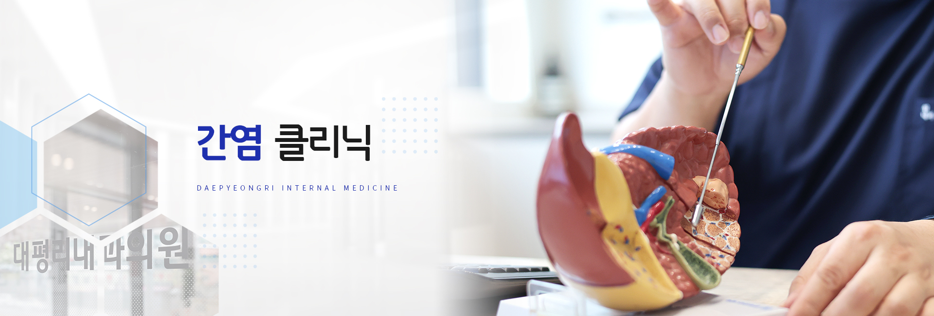 간염 클리닉 키비주얼