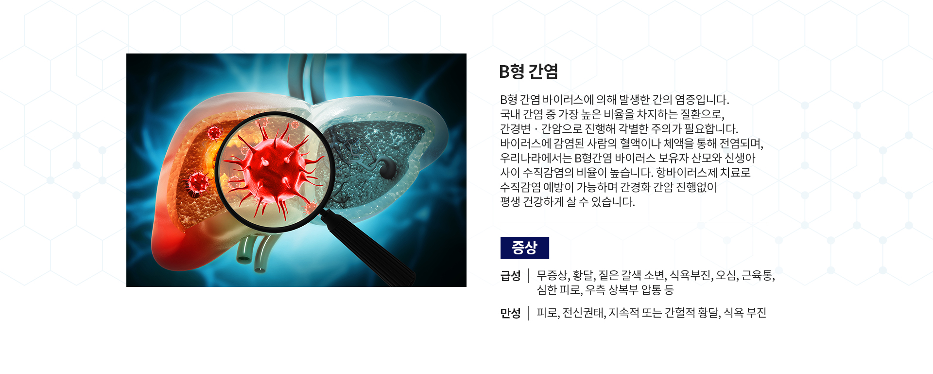 간염 클리닉 증상