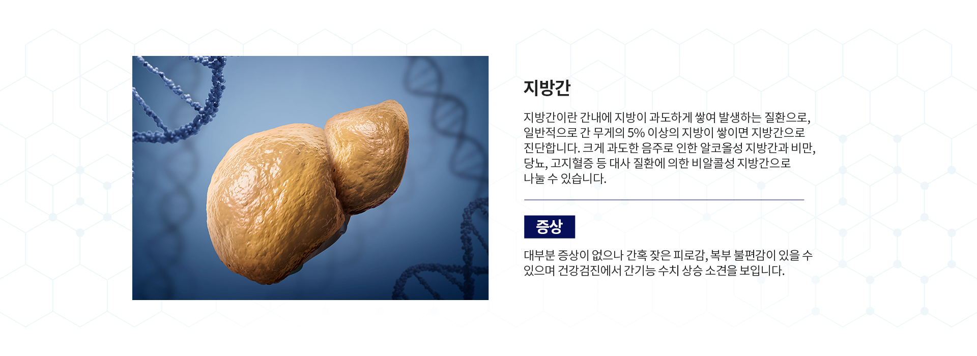 간염 클리닉 증상