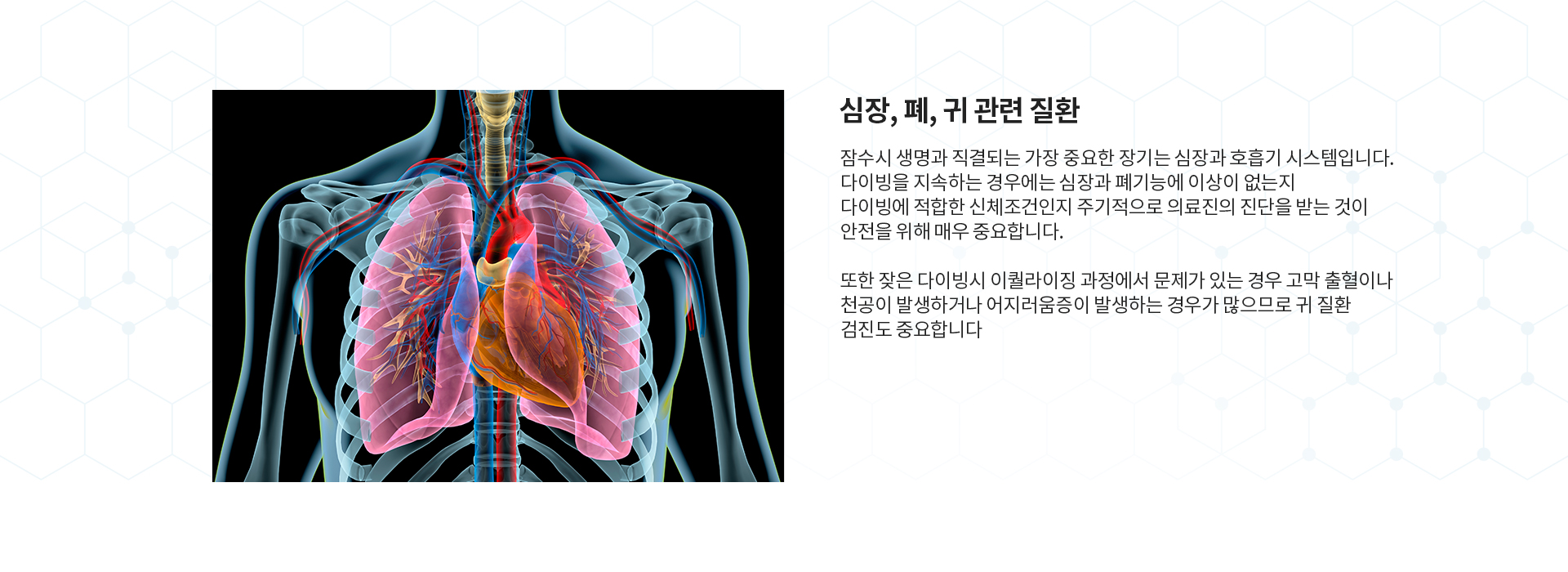 트수 클리닉 증상